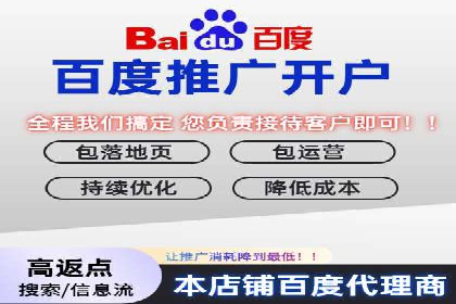 SEM推广实战：案例分析及效果评估
